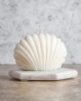 Shell Candles | White | Set of 2 | 7.87 x 3.81 x 7.87 cm   3.1 x 2 x 3.1 inches For Sale