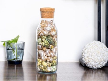 Elegant Turbo Multicolor Shell Filled Glass Bottle Table Decor | 4 x 11 inches Online now