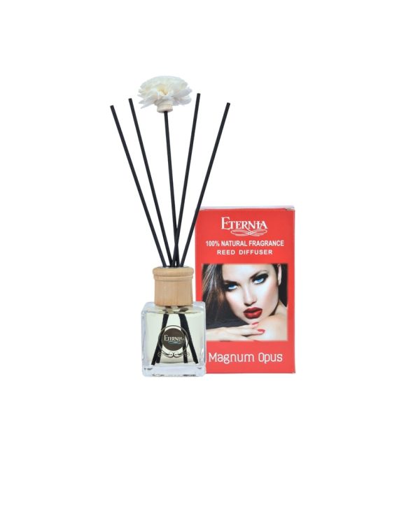 Elegant Aroma Magnum Opus Reed Diffuser With Ten Sticks | 4 x 2 x 4 inches on Sale