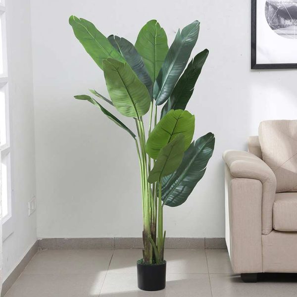 Artificial Banana Leaves Plant with Black Plastic Pot For Cheap