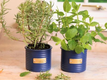 Typhoon Otto Herb Planter | 700 ml on Sale