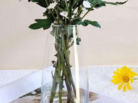 Modern Decorative Glass Vase For Flowers Plants Supply