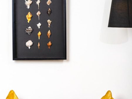 Elegant Multicolor Mixed Shell Wall Art | 27 x 20 inches Online now