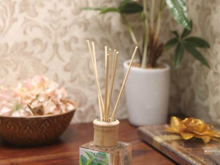 Elegant Aroma Very Berry Reed Diffuser With Ten Sticks | 4 x 2 x 4 inches Online Sale