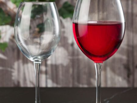 Enoteca Red Wine Stem Glasses | Set of 2 | 3 x 9 inches | 550ml on Sale