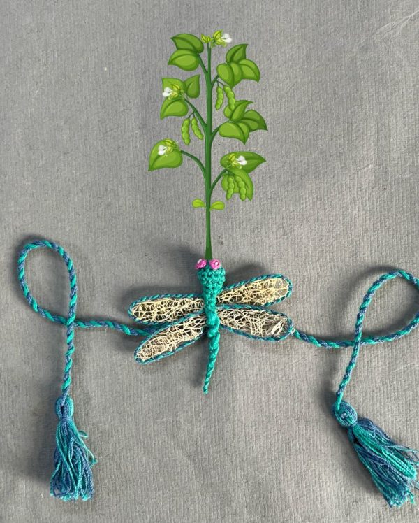 Dragonfly Delight Eco-Friendly Plantable Rakhi Embedded with Seeds Online Sale