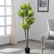 Ginkgo & Ficus Artificial Real Touch Plant With Pot | 60 Inch Online Hot Sale