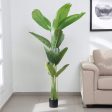 Artificial Banana Leaves Plant with Black Plastic Pot For Cheap