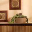 Elegant Taupe Tray Planter Without Plant | 8 x 6 inches Hot on Sale