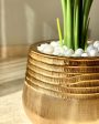 Acropolis Textured Golden Planter | 16 x 13 inches Cheap