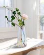 Modern Decorative Multicolor Glass Vase For Flowers Plants For Discount