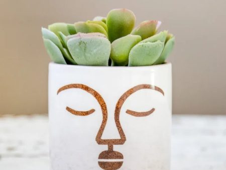 KitchenCraft Mini Planter with Terracotta Face Design | Fashion