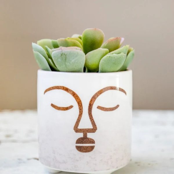 KitchenCraft Mini Planter with Terracotta Face Design | Fashion