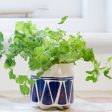 KitchenCraft Ceramic Blue Geo Planter |Plant Not Included Sale