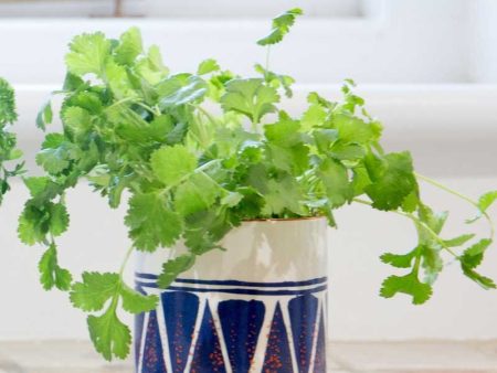 KitchenCraft Ceramic Blue Geo Planter |Plant Not Included Sale