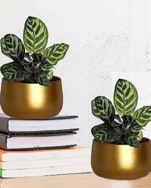 Stylish Drainage Hole Metal Plant Pots Without Plant | Set of 2 | 6 x 3 inches Sale