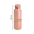 Ideal Brown Copper Bottle Beverageware | 4 x 11 inches | 1L Online