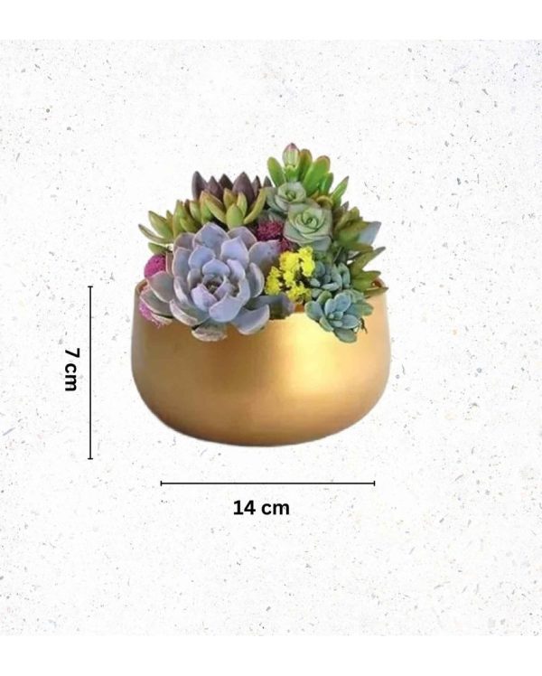 Stylish Drainage Hole Metal Plant Pots Without Plant | Set of 2 | 6 x 3 inches Sale