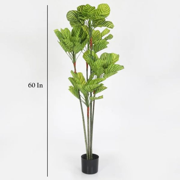 Ginkgo & Ficus Artificial Real Touch Plant With Pot | 60 Inch Online Hot Sale