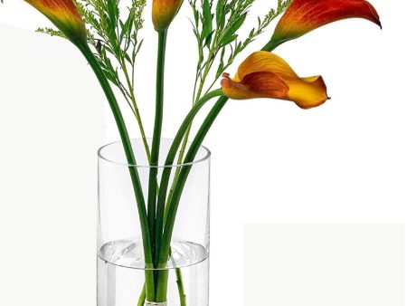 A Clear Choice Glass Vase | 4 x 10 inches Online now