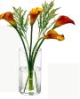 A Clear Choice Glass Vase | 4 x 10 inches Online now