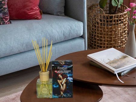 Elegant Aroma Scent of The Seas Reed Diffuser With Ten Sticks | 4 x 2 x 4 inches For Sale