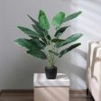 Artificial Banana Leaves Plant with Black Plastic Pot For Cheap