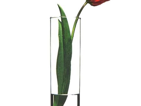 Clear Visions Glass Vase | 3 x 12 inches Sale