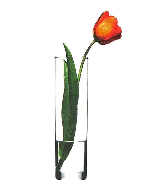 Clear Visions Glass Vase | 3 x 12 inches Sale