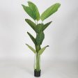 Artificial Banana Leaves Plant with Black Plastic Pot For Cheap