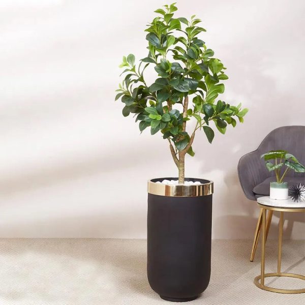 Elegance Touch Minsk Stylish Planter | Plant Not Included For Sale