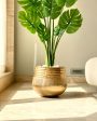 Acropolis Textured Golden Planter | 16 x 13 inches Cheap