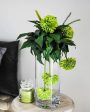 Allure Glass Vase | 4 x 6 inches For Cheap