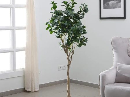 Green Ficus Artificial Real Touch Plant With Pot | 5 ft Discount