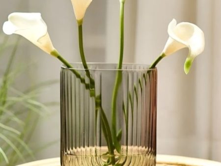 Timeless Elegance Glass Vase | 4 x 8 inches Sale