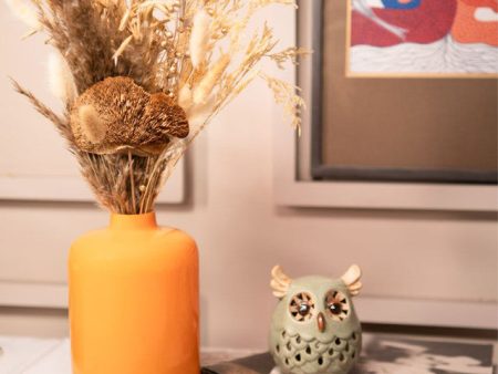 Tangerine Elegance Glass Vase with Dried Flower Bunch Supply