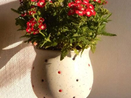 Colorful Dotted Ceramic Planter Pot Indoor Greenery | Plants Not Included on Sale