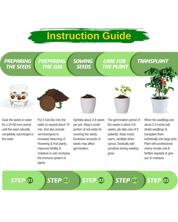 3 in 1 DIY Grow Kit Coir Cherry Tomato | Set of 3 | 4 x 4 x 3 inches For Discount