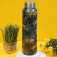 Wild Jungle Print Stainless Steel Water Bottle | 3 x 10 inches Cheap