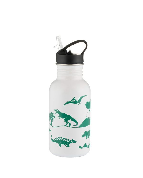 Pure Stainless Steel Color-Change Dinosaur Bottle | 550 ML For Sale