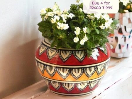 Sleek Greenery Ceramic Planter Pot For Cheap