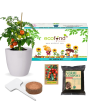 3 in 1 DIY Grow Kit Coir Cherry Tomato | Set of 3 | 4 x 4 x 3 inches For Discount