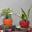 Versatile Desktop Planters Combo Without Plants | Pack of 2 | 5 x 5 inches Discount