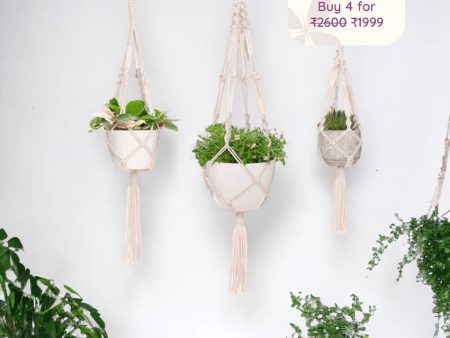 Artisanal Knot Pattern Rope Plant Hangers | Set of 3 For Sale