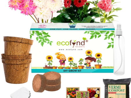 3 in 1 DIY Grow Kit Coir Zinnia Balsam Dahlia | Set of 3 | 4 x 4 x 4 inches Online now