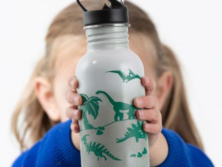 Pure Stainless Steel Color-Change Dinosaur Bottle | 550 ML For Sale