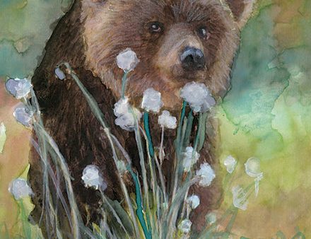 SDS485 - Baby Brown Bear - 12x16 For Discount