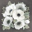 FEN245 - Anemone Square II   - 12x12 Cheap