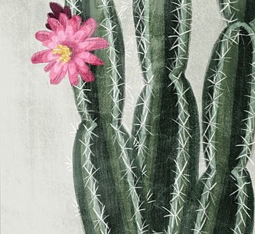 FEN144 - Flowering Cactus - 12x16 For Cheap