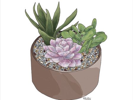 HK149 - Succulent Planter I - 12x12 For Discount